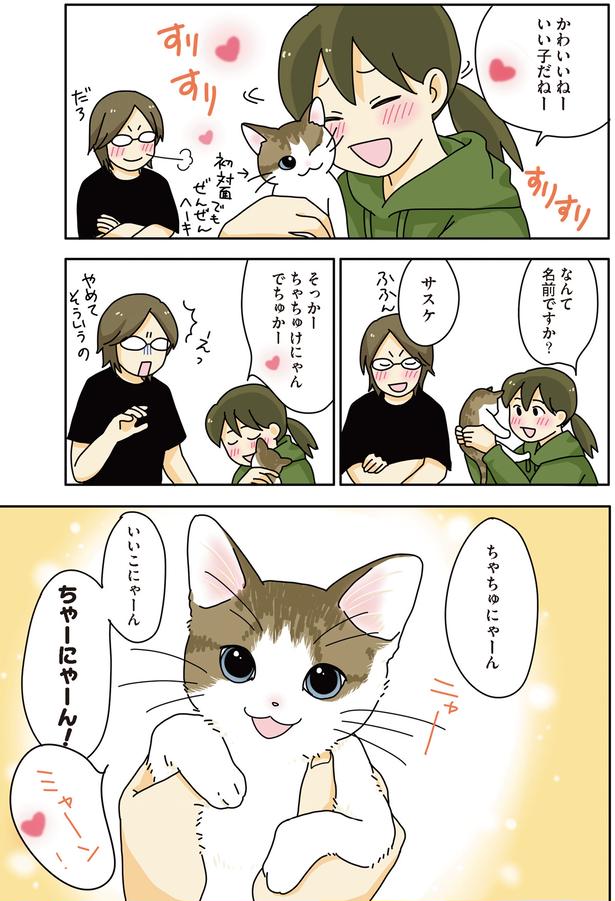 ちゃーにゃーん！ （C）ねこゆうこ／KADOKAWA