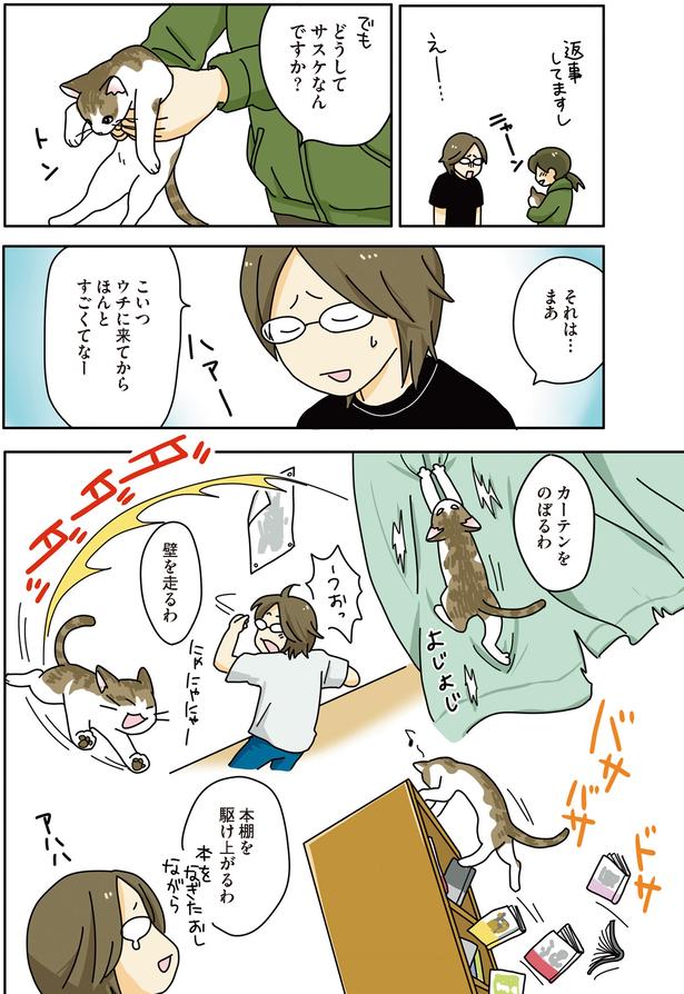 カーテンをのぼるわ （C）ねこゆうこ／KADOKAWA