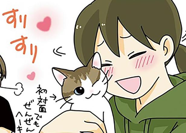 かわいい…！ （C）ねこゆうこ／KADOKAWA