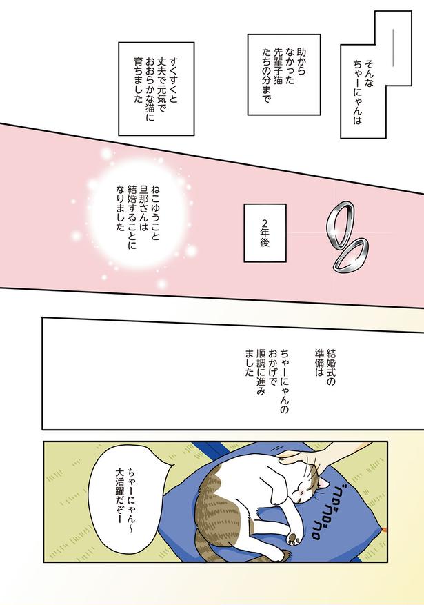 ちゃーにゃん～　大活躍だぞー （C）ねこゆうこ／KADOKAWA