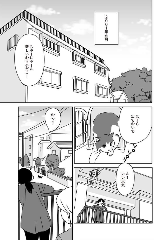 新しいおウチだよー （C）ねこゆうこ／KADOKAWA