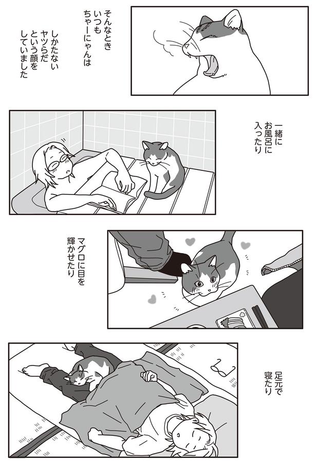 しかたないヤツらだ　という顔をしていました （C）ねこゆうこ／KADOKAWA