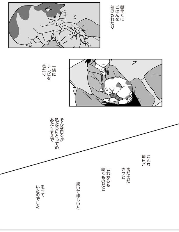 そんな日々が私たちにとってのあたりまえで （C）ねこゆうこ／KADOKAWA