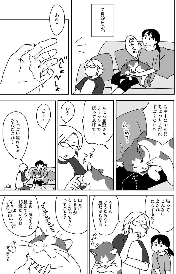 ちょっとよだれすごくない！？ （C）ねこゆうこ／KADOKAWA