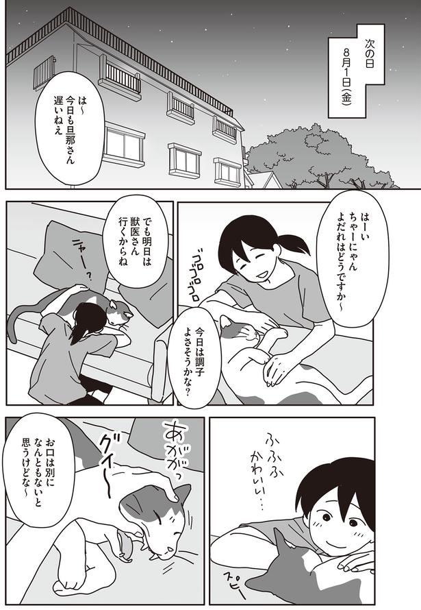 でも明日は獣医さん行くからね （C）ねこゆうこ／KADOKAWA