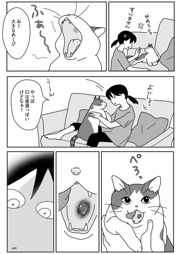 おー　大きなあくび （C）ねこゆうこ／KADOKAWA