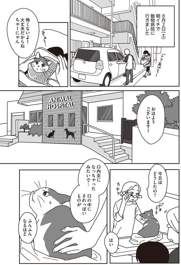 口内炎になっちゃったみたいで… （C）ねこゆうこ／KADOKAWA