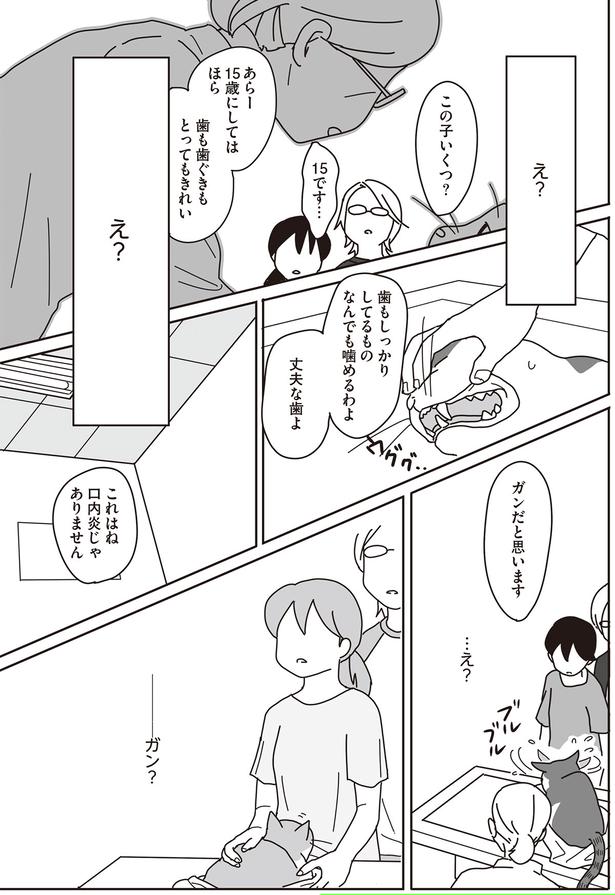 これはね　口内炎じゃありません （C）ねこゆうこ／KADOKAWA