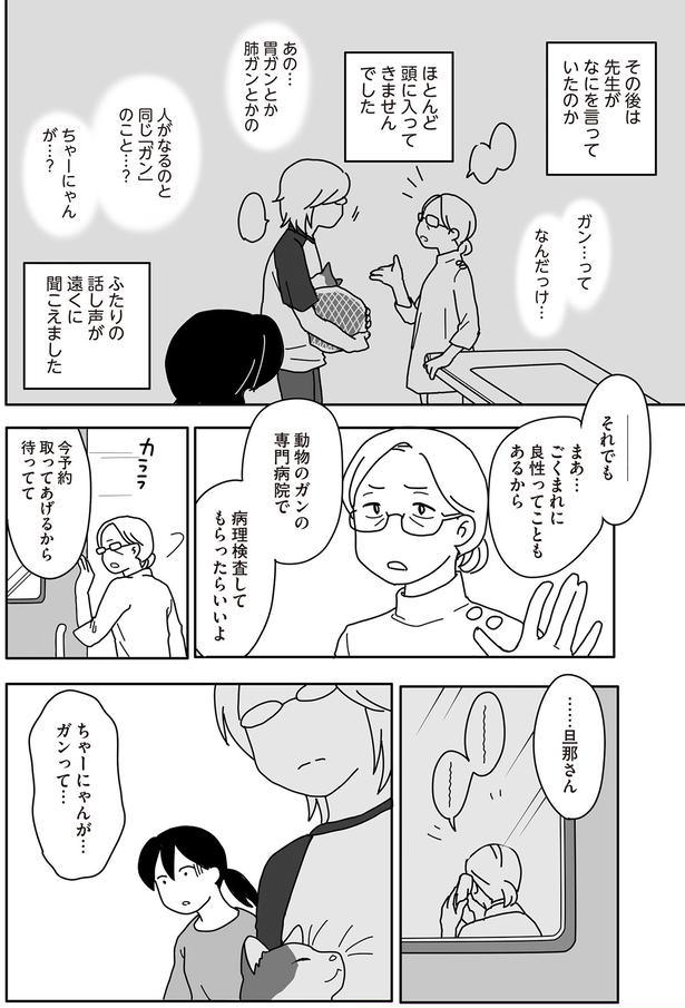 ごくまれに良性ってこともあるから （C）ねこゆうこ／KADOKAWA