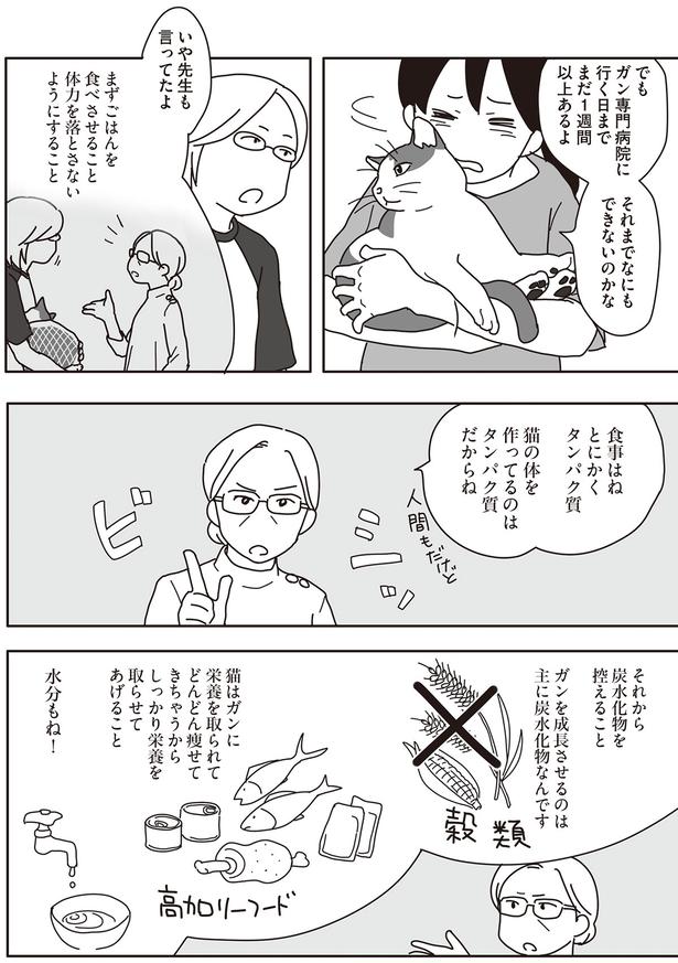それまでなにもできないのかな （C）ねこゆうこ／KADOKAWA