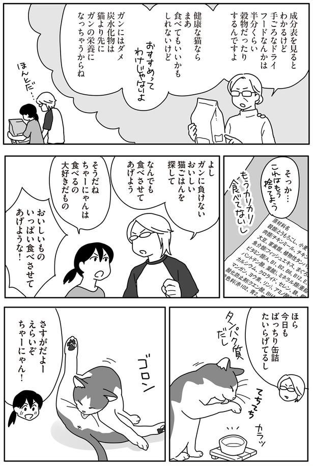 ガンに負けないおいしい猫ごはんを探して　なんでも食べさせてあげよう （C）ねこゆうこ／KADOKAWA