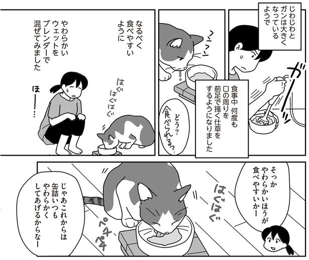 やわらかいほうが食べやすいかー （C）ねこゆうこ／KADOKAWA