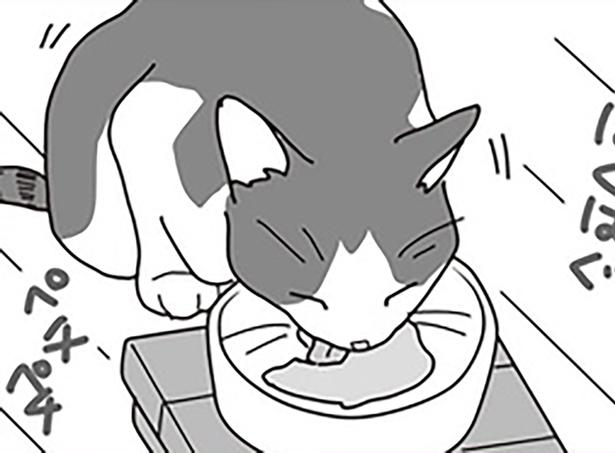 柔らかい方が食べやすそう （C）ねこゆうこ／KADOKAWA