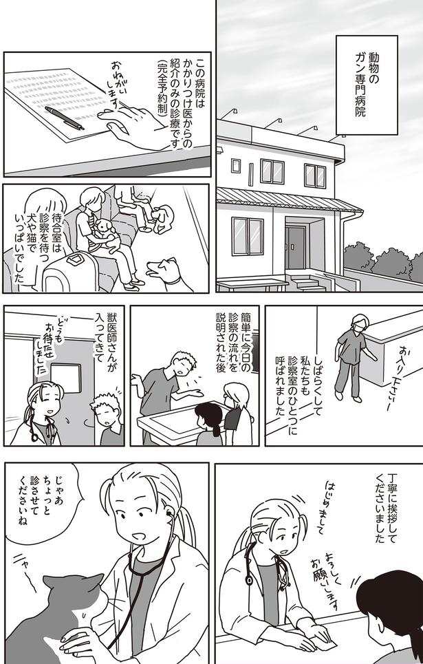 じゃあちょっと診させてくださいね （C）ねこゆうこ／KADOKAWA