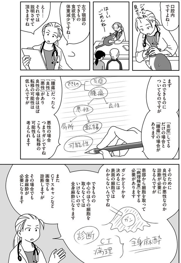 口腔内ですよね… （C）ねこゆうこ／KADOKAWA