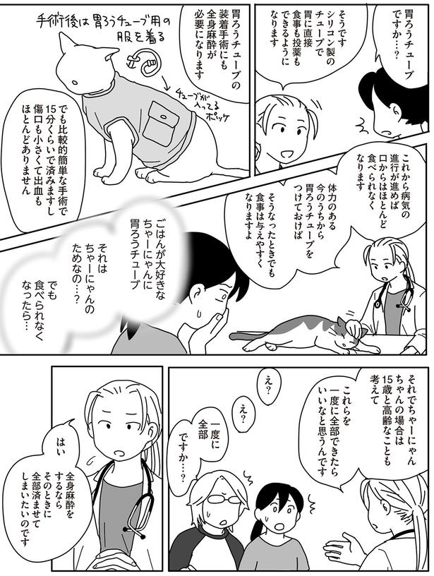 それはちゃーにゃんのためなの？ （C）ねこゆうこ／KADOKAWA