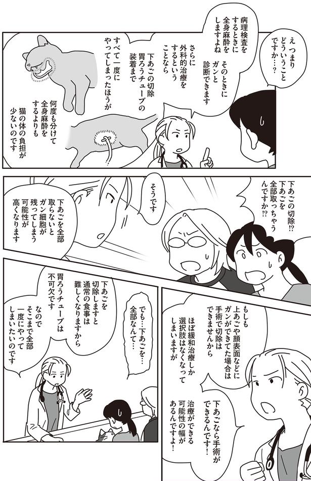 下あごを全部取っちゃうんですか！？ （C）ねこゆうこ／KADOKAWA