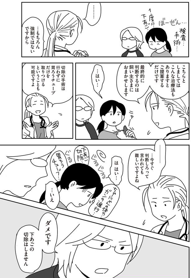 ダメです　下あごの切除はしません （C）ねこゆうこ／KADOKAWA