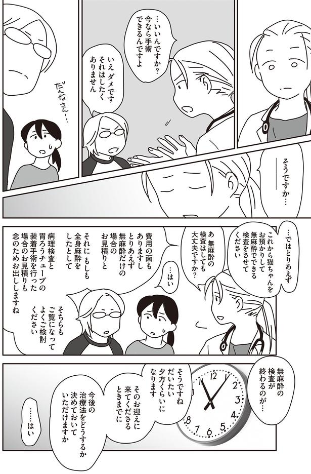 …いいんですか？　今なら手術できるんですよ （C）ねこゆうこ／KADOKAWA