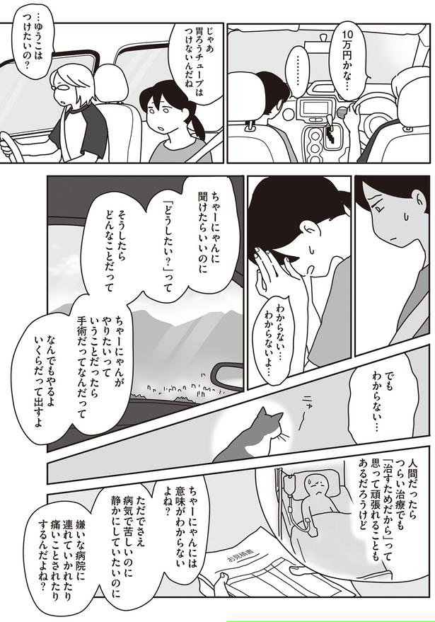 ちゃーにゃんに聞けたらいいのに （C）ねこゆうこ／KADOKAWA