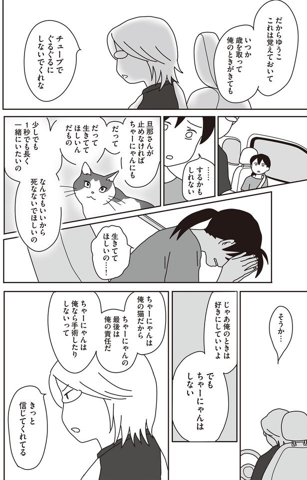 ちゃーにゃんは俺の猫だから　ちゃーにゃんの最後は俺の責任だ （C）ねこゆうこ／KADOKAWA