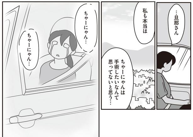 私も本当は　ちゃーにゃんは手術したいなんて思ってないと思う… （C）ねこゆうこ／KADOKAWA