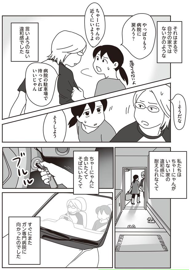 やっぱりもう病院に戻ろう？ （C）ねこゆうこ／KADOKAWA