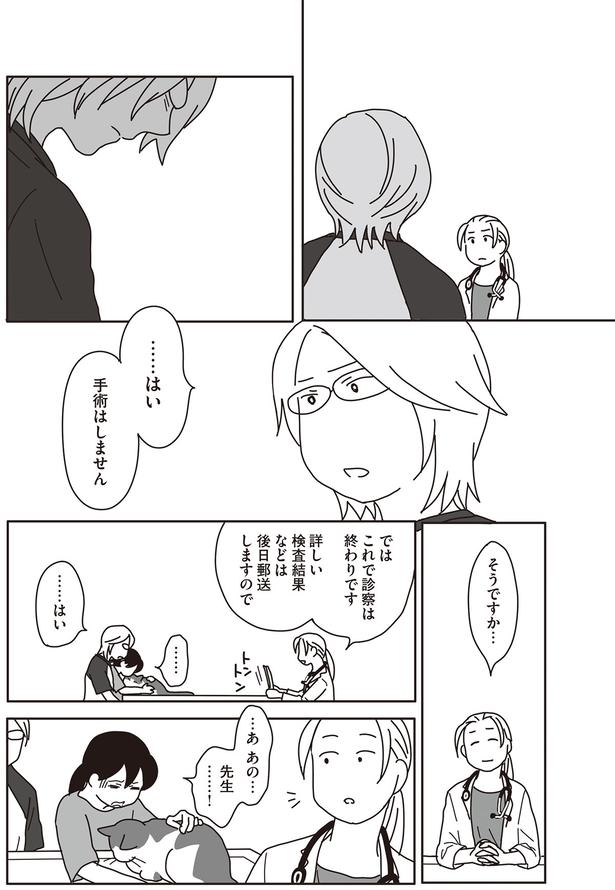 …はい　手術はしません （C）ねこゆうこ／KADOKAWA