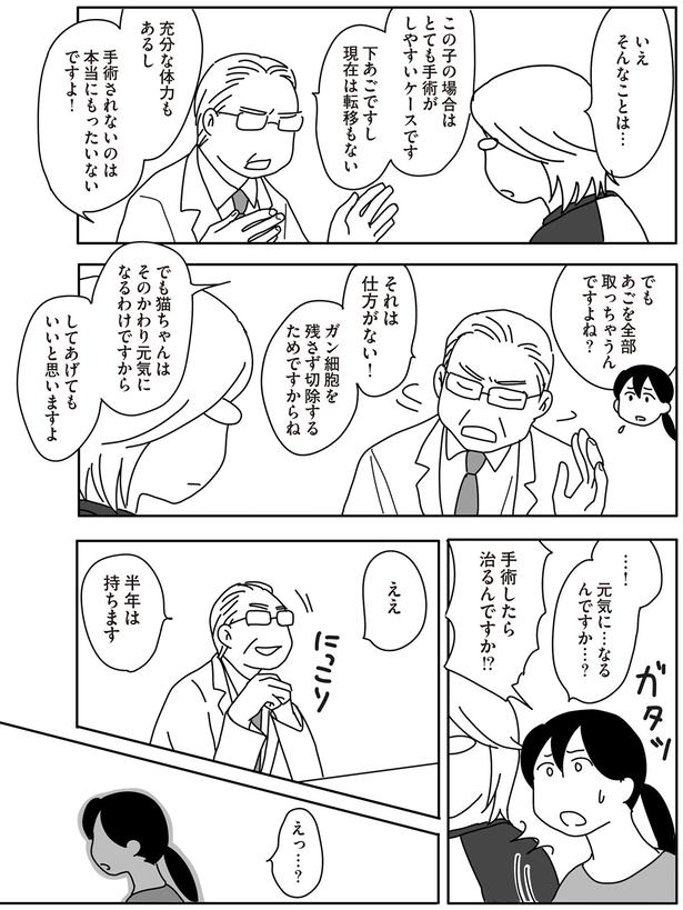 手術したら治るんですか！？ （C）ねこゆうこ／KADOKAWA
