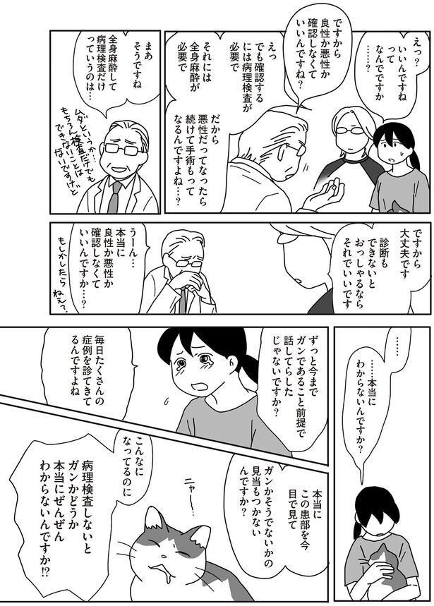 …本当にわからないんですか？ （C）ねこゆうこ／KADOKAWA