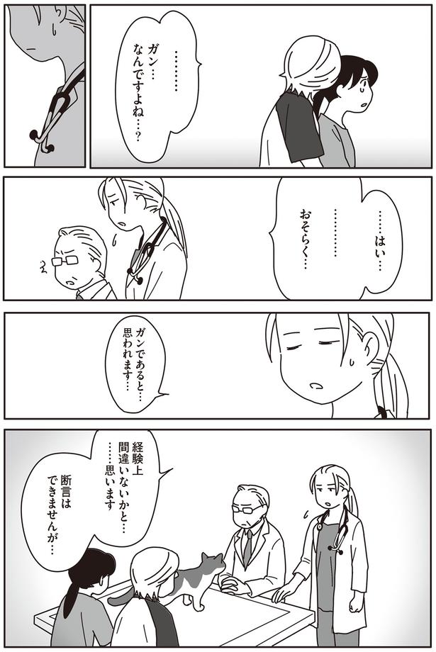 ガン…なんですよね…？ （C）ねこゆうこ／KADOKAWA
