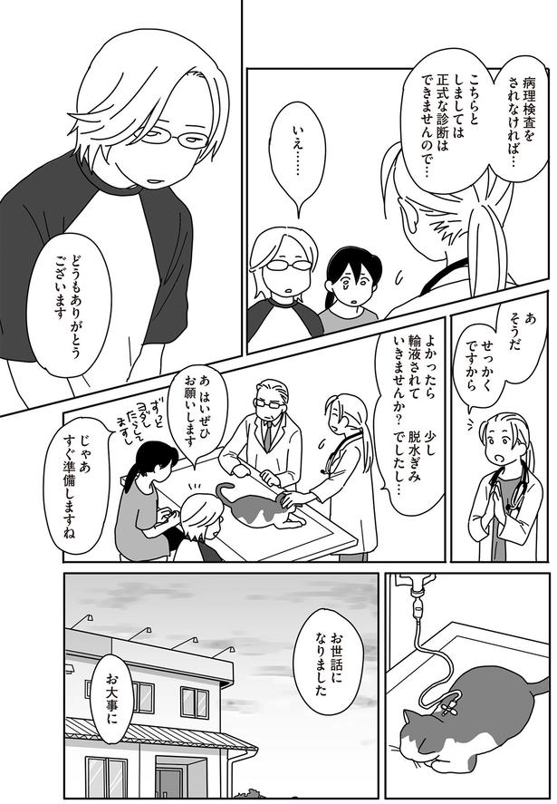 お世話になりました （C）ねこゆうこ／KADOKAWA