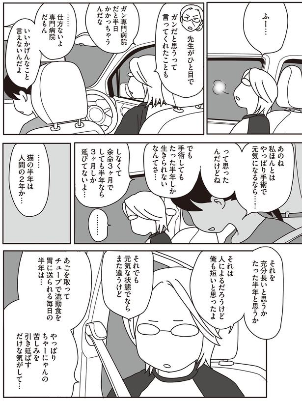 …猫の半年は人間の2年か… （C）ねこゆうこ／KADOKAWA