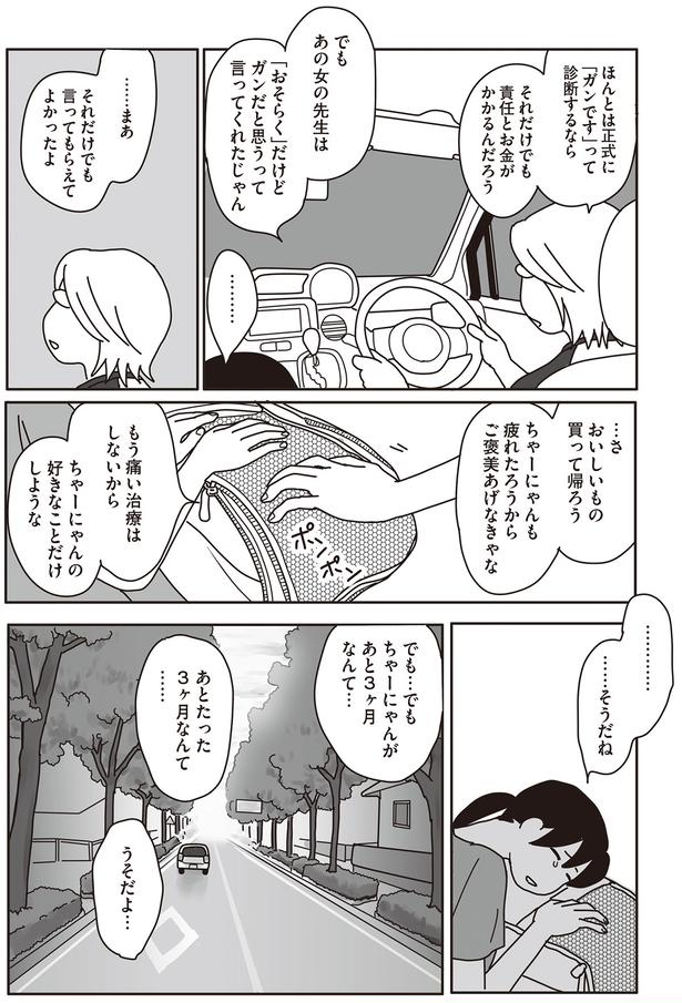 ちゃーにゃんの好きなことだけしような （C）ねこゆうこ／KADOKAWA