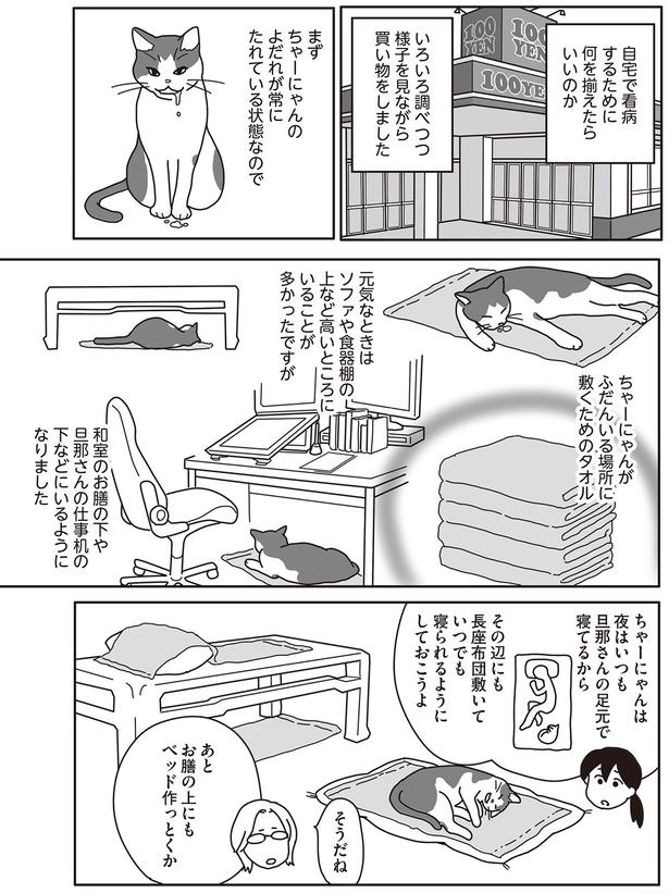 何を揃えたらいいのか （C）ねこゆうこ／KADOKAWA