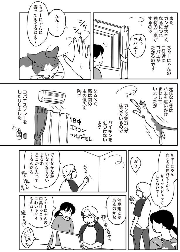 消臭剤とかあるのかな （C）ねこゆうこ／KADOKAWA