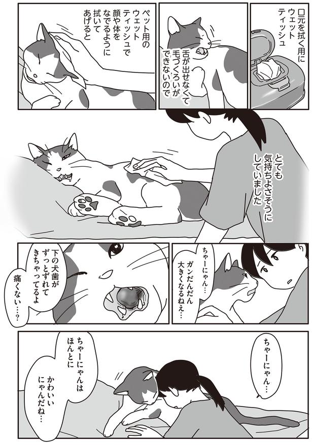 ちゃーにゃんはほんとに　かわいいにゃんだね… （C）ねこゆうこ／KADOKAWA