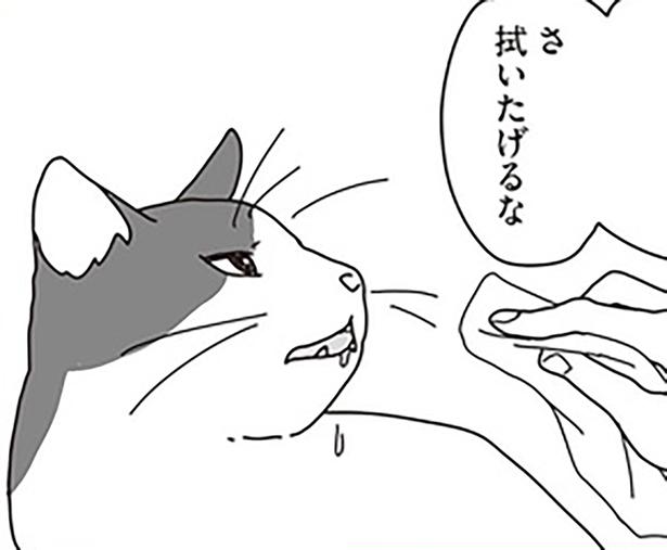 夫婦で選んだ自宅看病という道 （C）ねこゆうこ／KADOKAWA