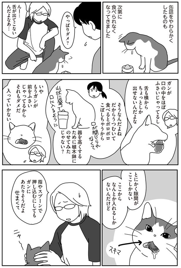 …元気なときにもっといっぱい食べさせてあげたらよかった （C）ねこゆうこ／KADOKAWA