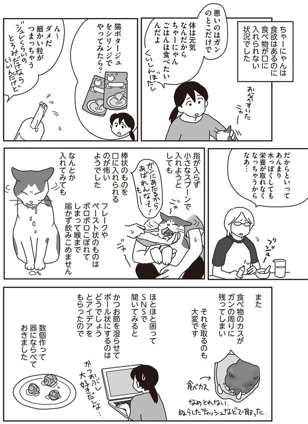 とにかく隙間がここしかない （C）ねこゆうこ／KADOKAWA