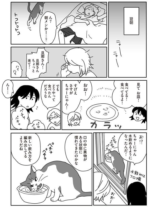悪いのはガンのとこだけで体は元気なんだから （C）ねこゆうこ／KADOKAWA