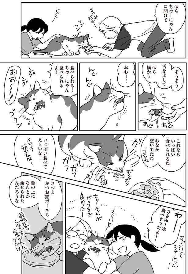 わかった　もう食べ物は固形だ （C）ねこゆうこ／KADOKAWA