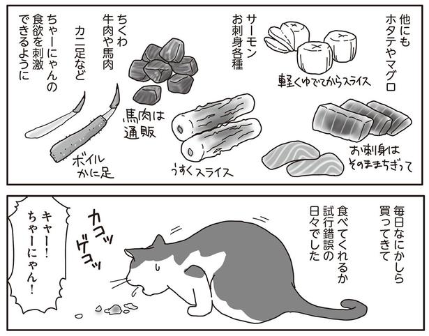 すごい　超必死で食べてる （C）ねこゆうこ／KADOKAWA