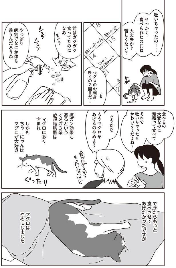 毎日なにかしら買ってきて　食べてくれるか試行錯誤の日々でした （C）ねこゆうこ／KADOKAWA
