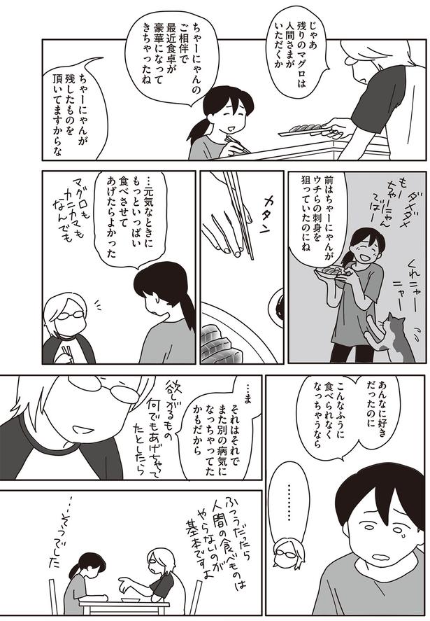 もうマグロをあげるのやめよう （C）ねこゆうこ／KADOKAWA