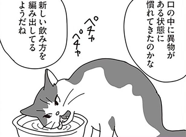 新しい飲み方を編み出してる （C）ねこゆうこ／KADOKAWA