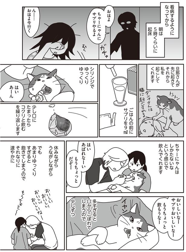 はい　あばれなーい （C）ねこゆうこ／KADOKAWA