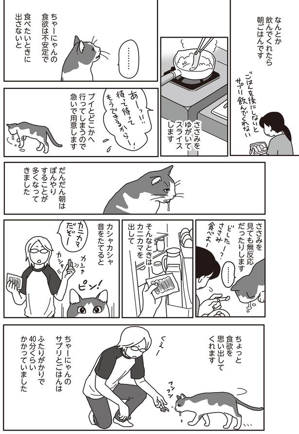 だんだん朝はぼんやりすることが多くなってきました （C）ねこゆうこ／KADOKAWA
