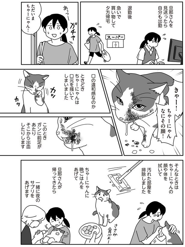 きゃー！ちゃーにゃん　なにその顔！ （C）ねこゆうこ／KADOKAWA