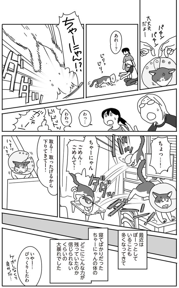 ごめん！ごめんて！ （C）ねこゆうこ／KADOKAWA